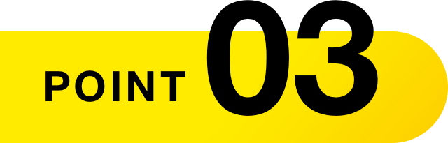 point_03_sp